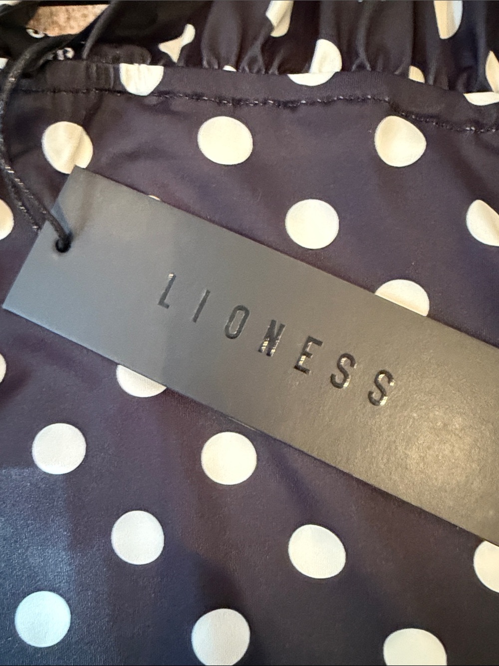 Lioness black halter with White Polka Dots